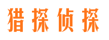 勉县市调查公司